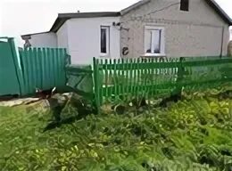 Рп5 вейделевка белгородской ромахово