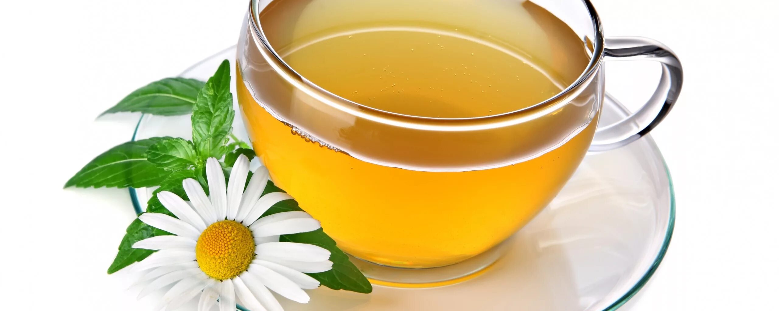 Ромашка и давление. Ромашковый чай повышает или понижает давление. Ромашка понижает давление. Чем полезна ромашка. Чай с ромашкой понижает давление.