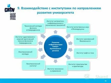 Информационные системы и технологии институты