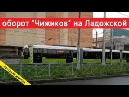 Чижик кантемировская открытие