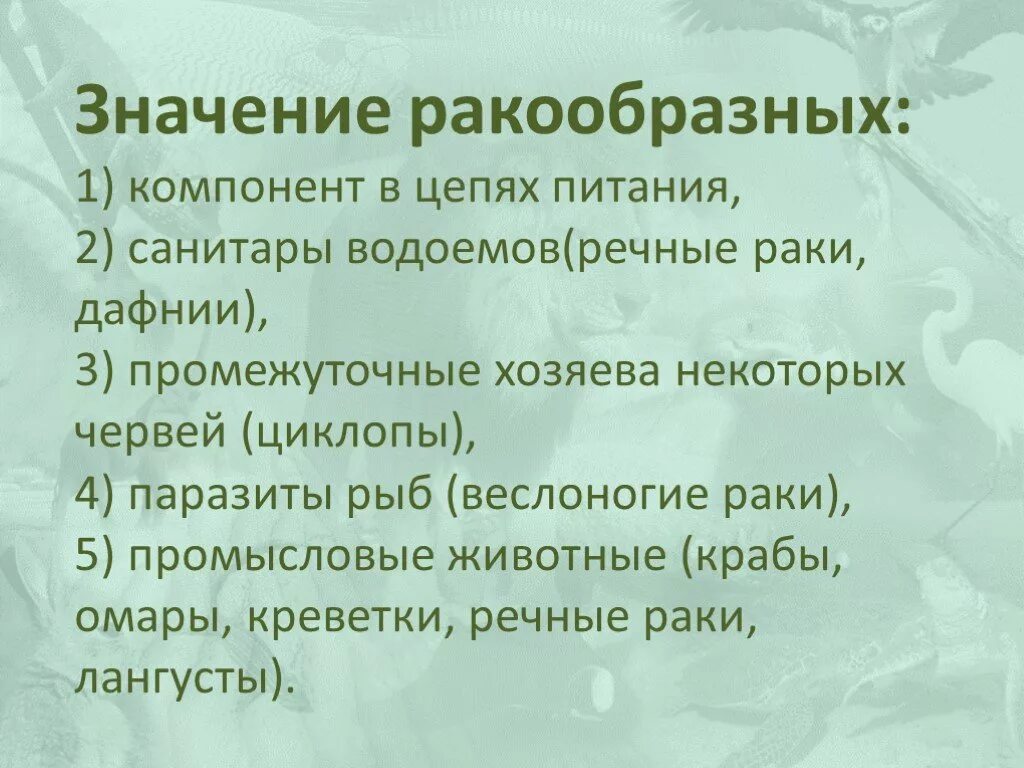 Роль ракообразных в природе. Значение ракообразных в природе. Экологическое значение ракообразных. Разнообразие и значение ракообразных. Значение речного рака