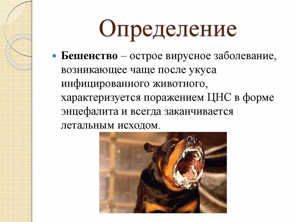 Примеры заболеваний животных. Краткая характеристика бешенства. Характерные клинические признаки бешенства. Вирусные болезни животных бешенство.