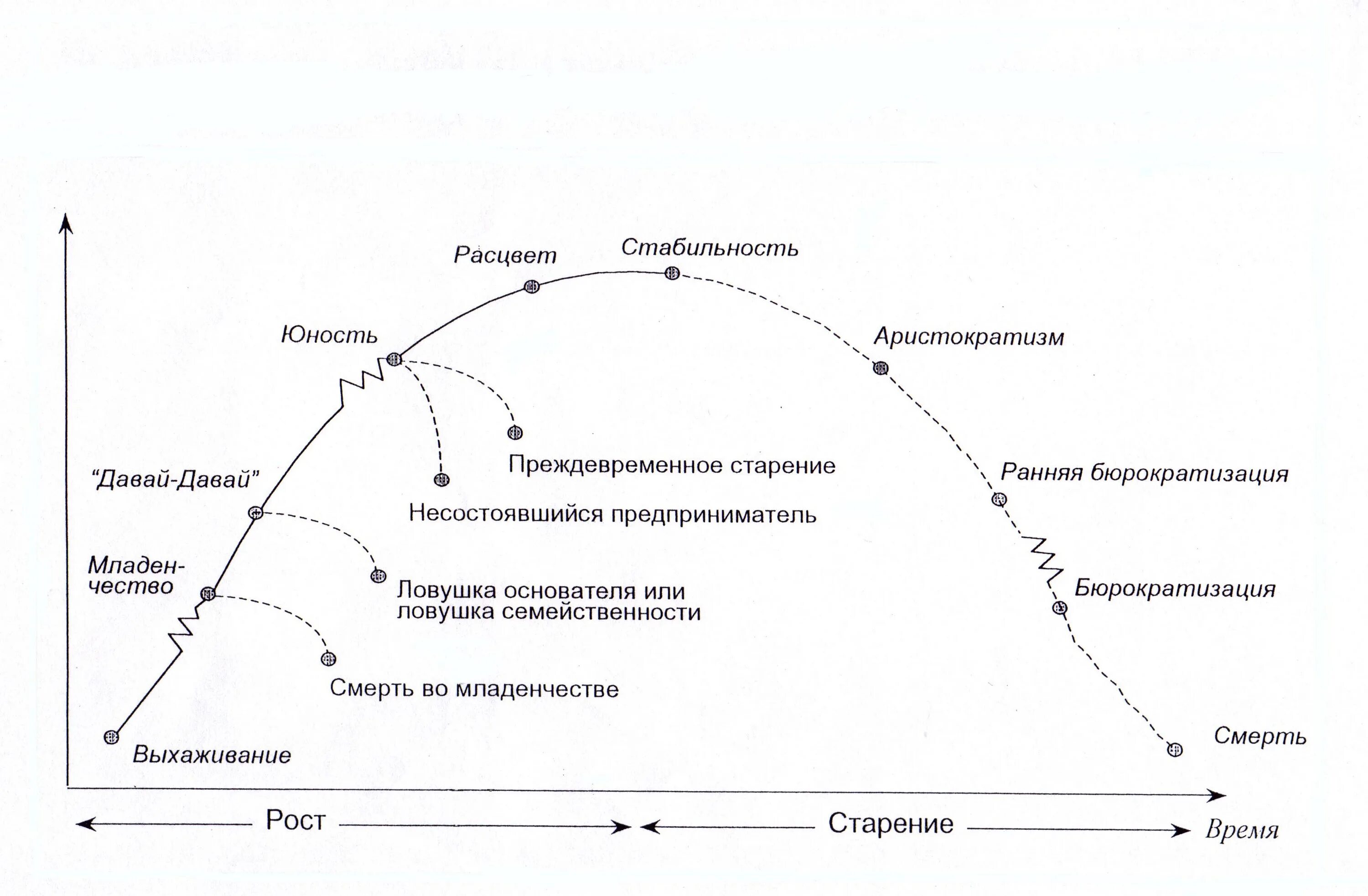 Ицхак Адизес модель жизненного цикла. Модель жизненного цикла организации Ицхака Адизеса. Ицхак Адизес жизненный цикл организации. Теория жизненного цикла организации по Адизесу. Организация ее жизненный цикл