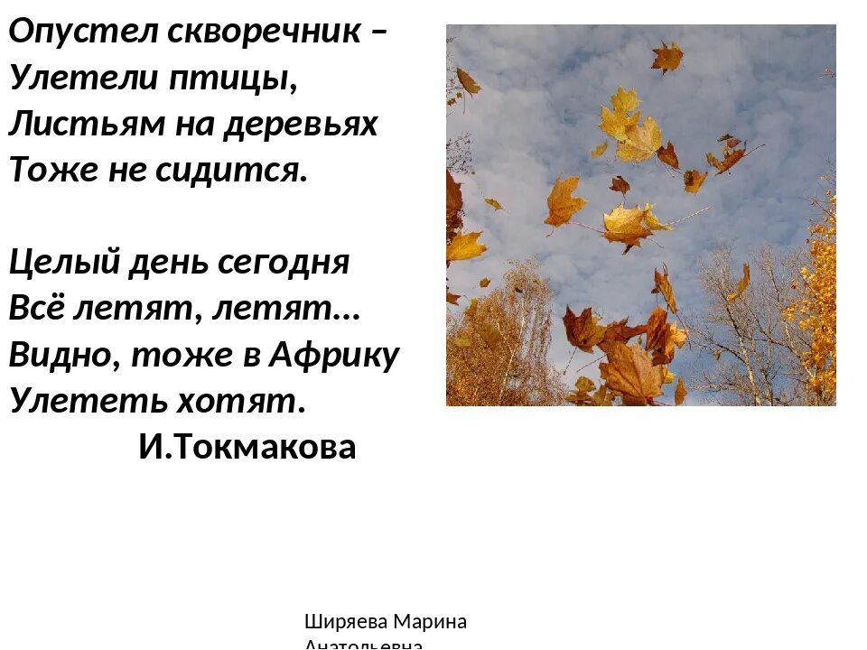 Стих листья дерева. Стих опустел скворечник улетели птицы. Опустел скворечник улетели птицы Автор. Токмакова опустел скворечник. Опустел скворечник улетели птицы листьям на деревьях.