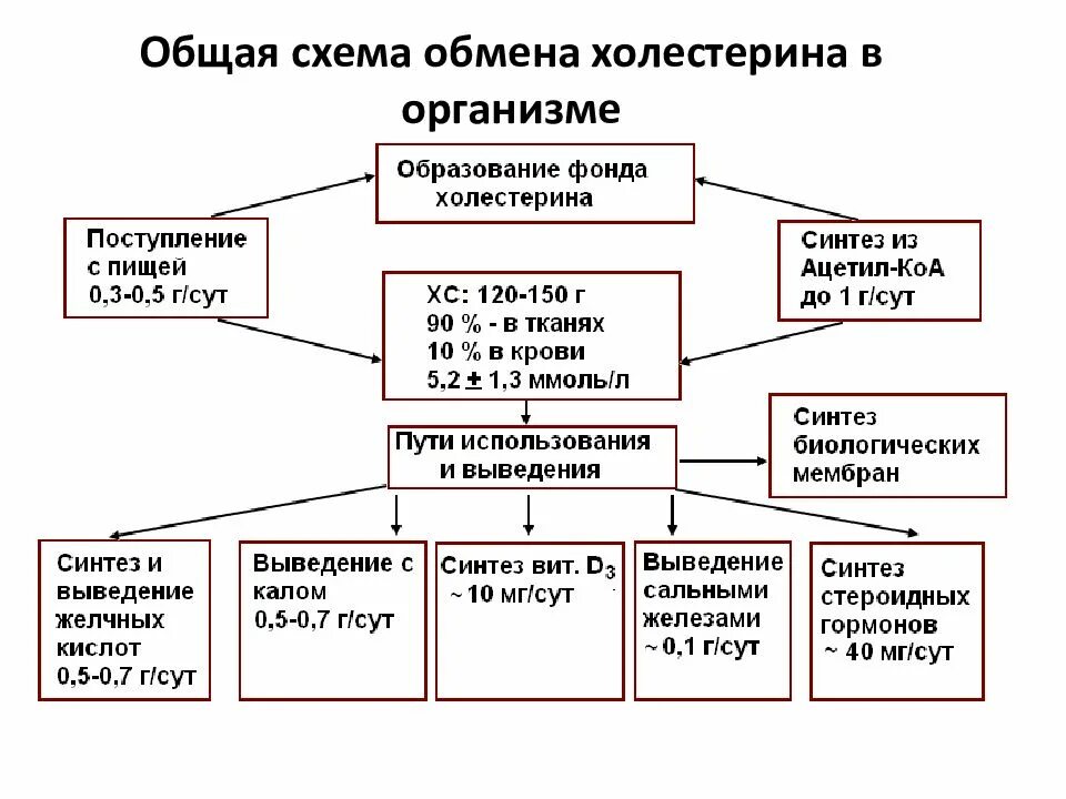 Холестерол применение. Пути утилизации холестерола в организме. схема путей утилизации холестерола. пути утилизации холестерина в организме биохимия. схема обмена холестерина в организме.