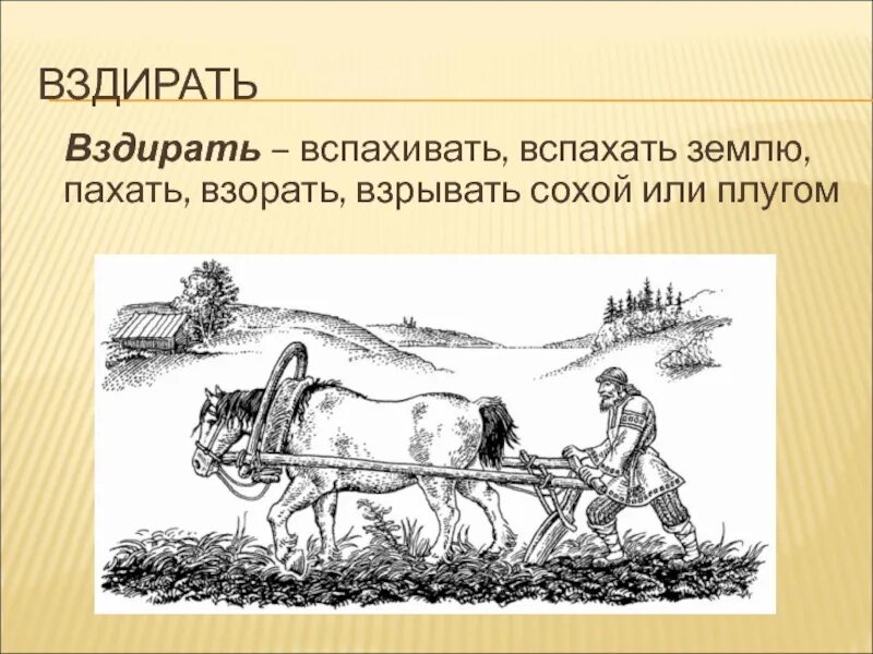 Казаки пашут землю. Плуг пашет землю. Пашет или пахает. Как казаки пахали землю. Пахать землю нельзя