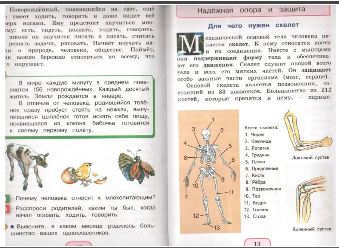 Окружающий мир 3 класс учебник. Учебник окружающий мир 3 класс класс. Учебники, учебные пособия окружающий мир. Окружающий 3 класс учебник. Читать учебники 5 класса плешакова