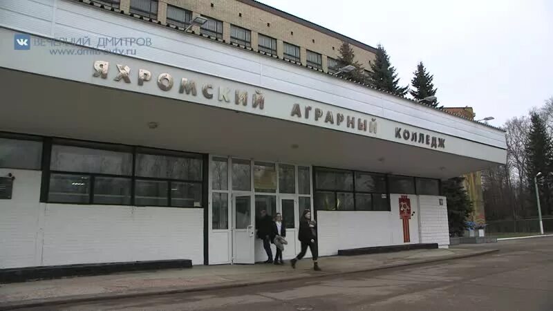 Яхромский техникум в новосиньково. Яхромский техникум в новосиньково. Яхромский колледж. Яхромский колледж. Яхромский аграрный колледж новосиньково официальный сайт.
