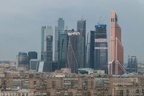 Без сити