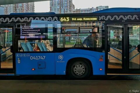 Маршрутный автобус 25