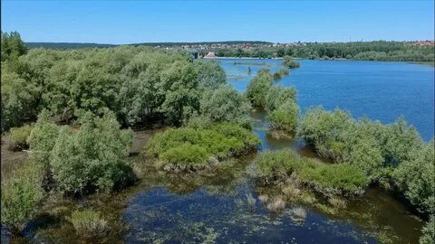Река сок самарская