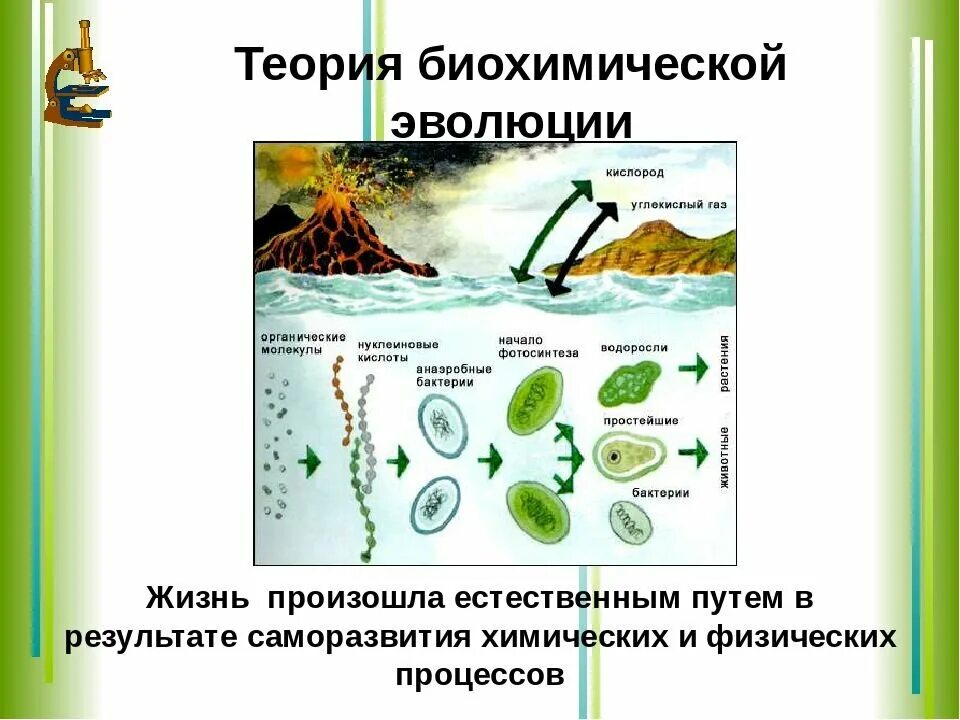 Этапы эволюции опарина. Теория биохимической эволюции. Этапы биохимической гипотезы Опарина. Гипотеза биохимической эволюции кратко. Зарождение жизни на земле биохимическая Эволюция.