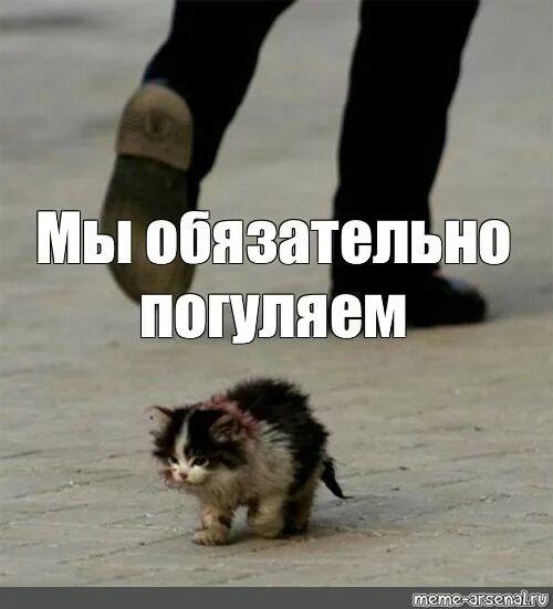 Кот идет мем. Я обязательно выживу котенок мем. я обязательно выживу мем.