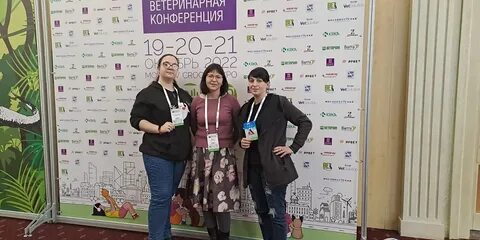 Конференции октябрь