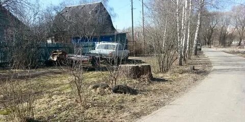Водитель щербинка