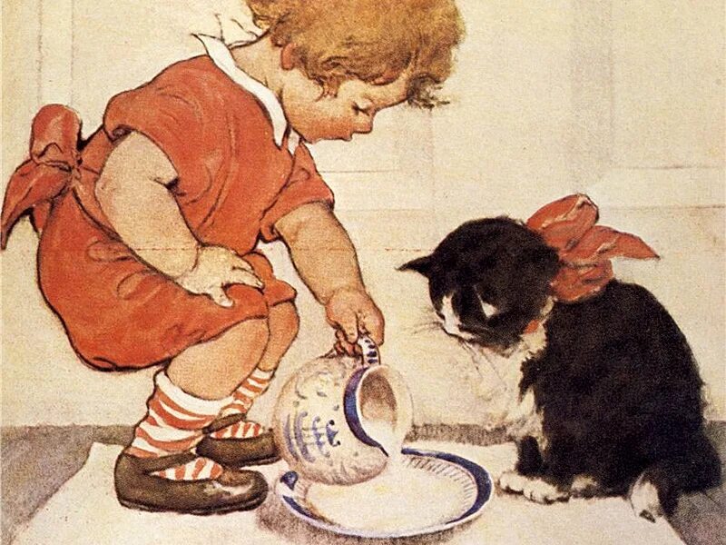 Cock feeding. Девочка кормит кота. Девочка кормит котенка. Ребенок кормит котенка. Девочка с котятами.