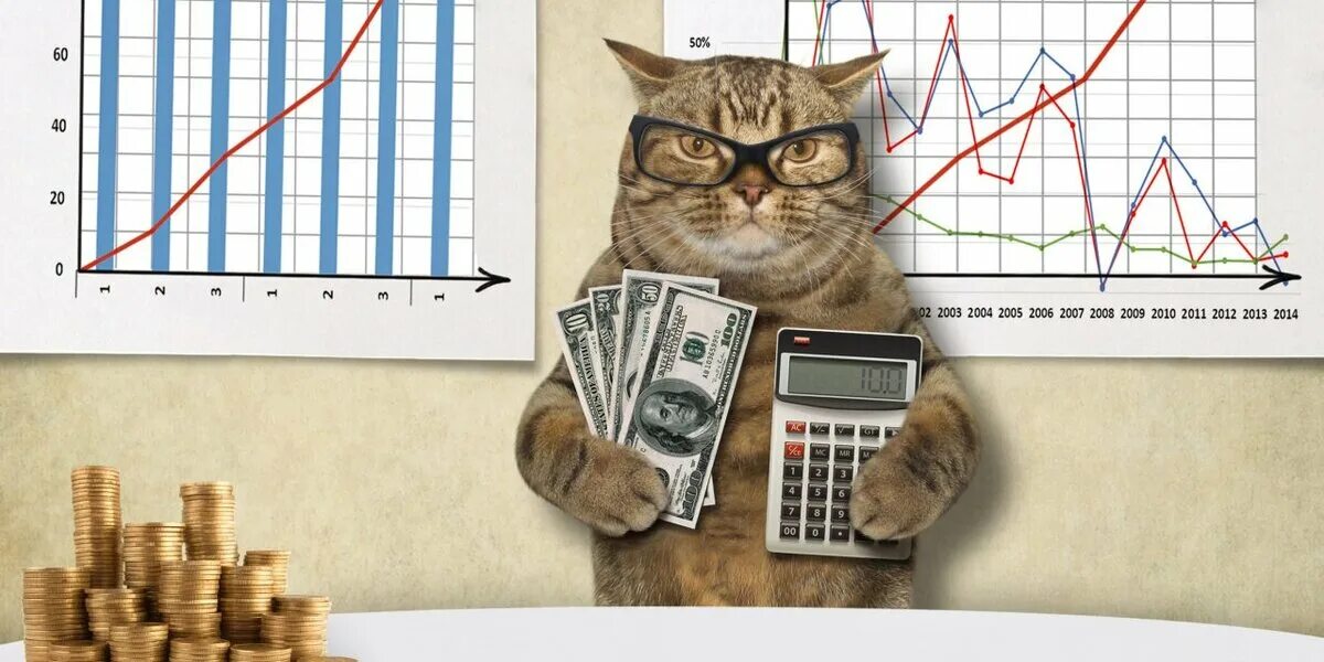Кот инвестор. Коты инвесторы. Котики и инвестиции. Прибыль рисунок прикольный.