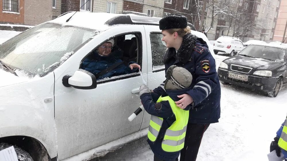 Вакансии кингисепп водитель свежие. Гаи кингисепп. Копа сортавала пристав. Нетрезвый водитель кингисепп. Порт вистино ленинградская область ультрамар.