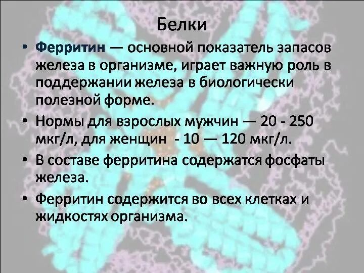 Сколько ферритина должно быть в норме