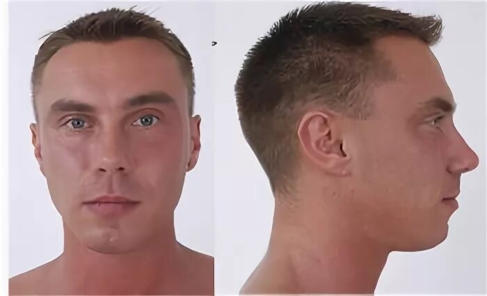 Лицо в профиль это как выглядит Google Image Result for http:///fs15/f/2007/035/b/c/Female_F