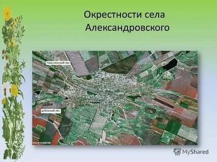 Самурай село александровское