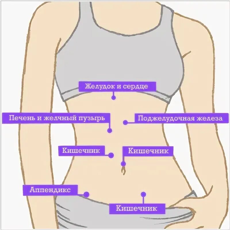Аппендикс находится справа или слева. Болит левый бок. Локализация болей в животе схема. Полит опендикс с левой стороны. Нижняя часть живота.