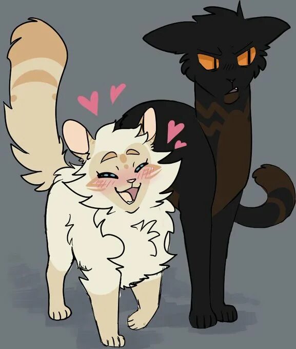 Коты воители ромашка. Коты воители долголап. Персик коты воители. Коты воители белохвост и ромашка. Коты воители ромашка.