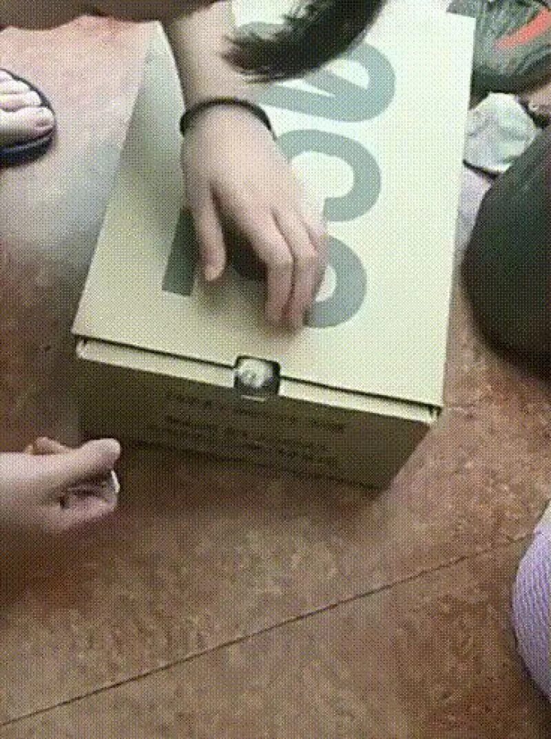 Коробка с лапками