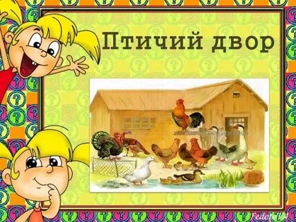 Звуки двора