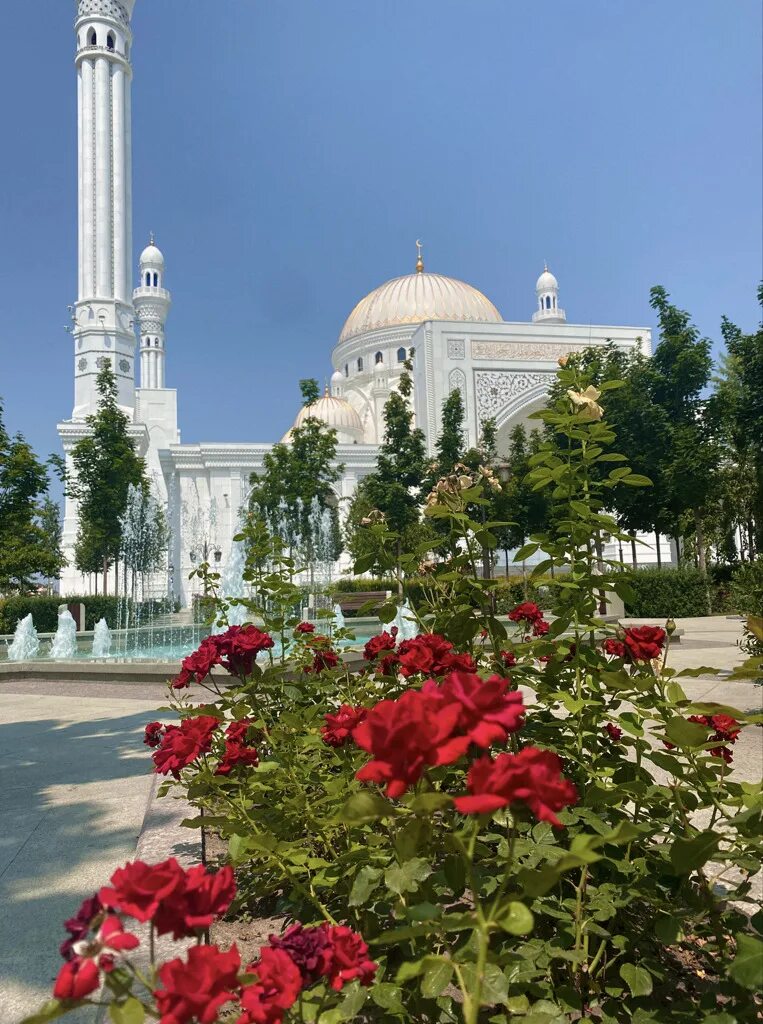 Чечня фото. Пейзажи ингушетии. Грозный шали аргун. Чеченская республика столица грозный. Мечети чечни аргун.