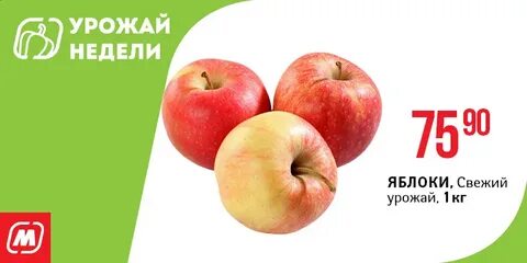 Сколько рублей яблоко