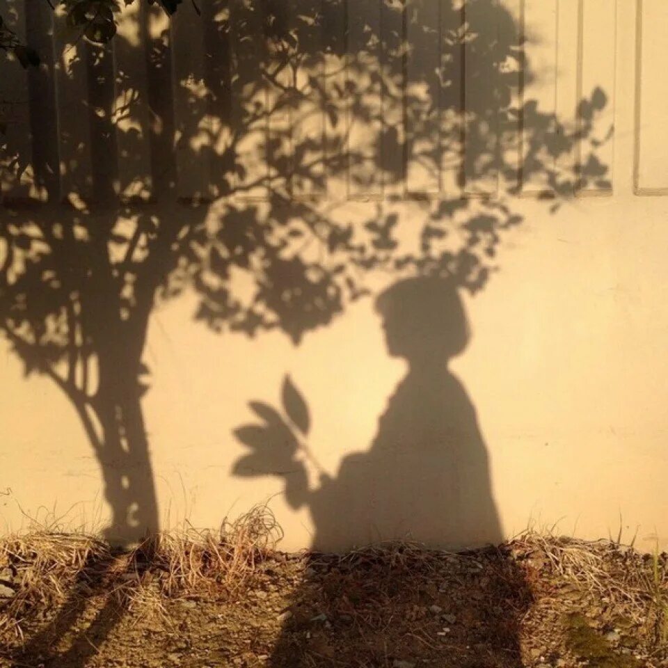 Красивые силуэты. Картина тень. Тень от человека. В тени человека. Кружащие тени.