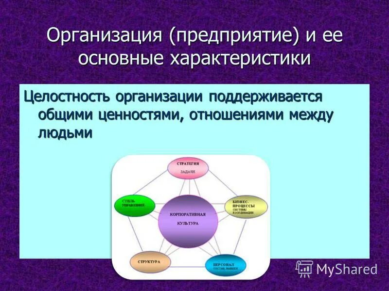 Организационно целостный. Организационно целостный. Организационно целостный. Культурная сфера. Организационно целостный.