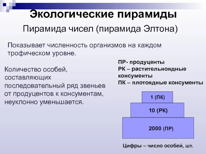 Экологическая пирамида численности. Экологические пирамиды пирамида чисел. Экологическая пирамида Элтона. Пирамида биомасс пирамида чисел пирамида энергии. Экологическая пирамида чисел отражает.