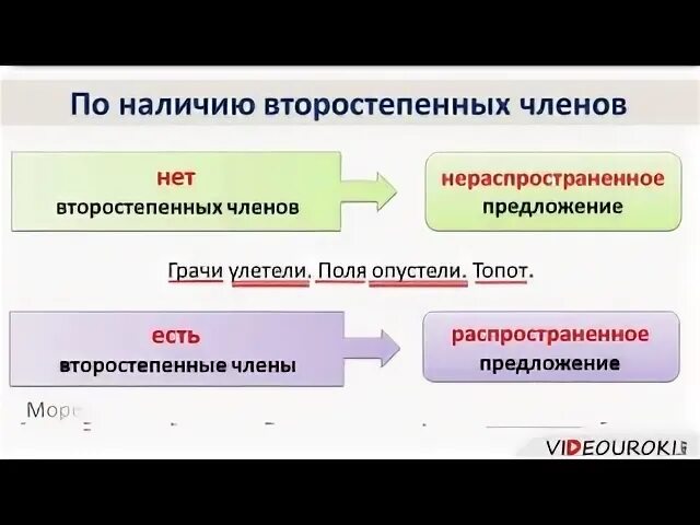 Строение предложений 8 класс