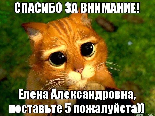 Сделай 5 пожалуйста. Поставьте 5 елена александровна. спасибо за внимание елена александровна поставьте 5. спасибо за внимание кот из шрека. мем поставьте 5 пожалуйста.