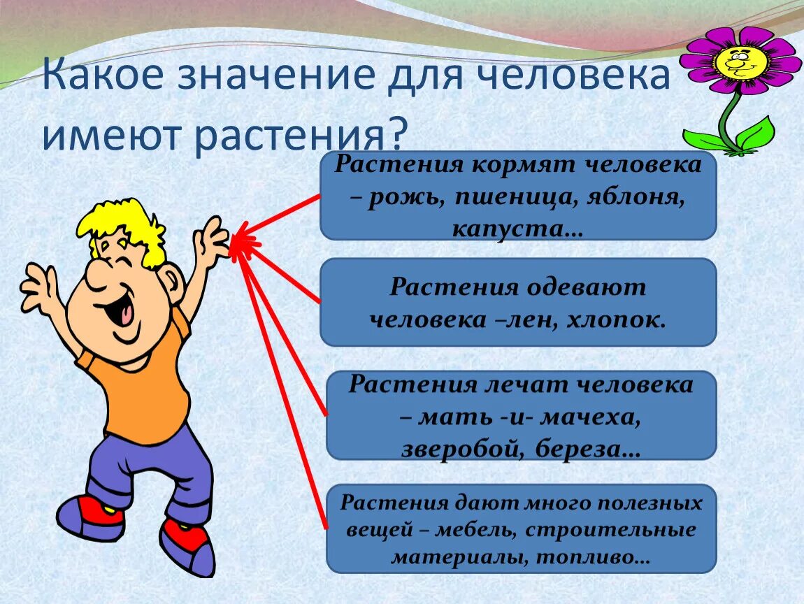 Какое значение для человека имеют растения. Культурные растения в жизни человека. Значение культурных растений в жизни человека. Значение для человека.