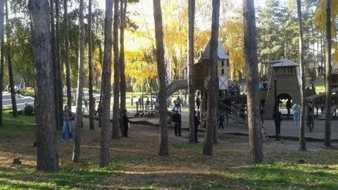 Парк дельфин беседки аренда
