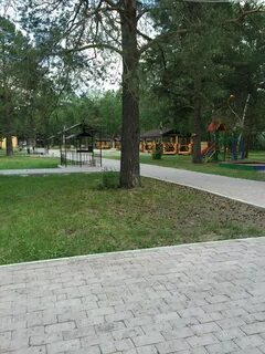Дубрава турбаза пенза
