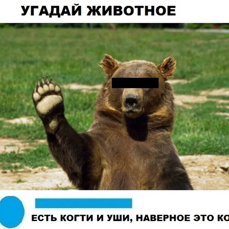 Отгадай какой нибудь. Мемы угадай животное. угадайте животных. если угадаешь животное станешь моей девушкой мем. отгадай животное мем.