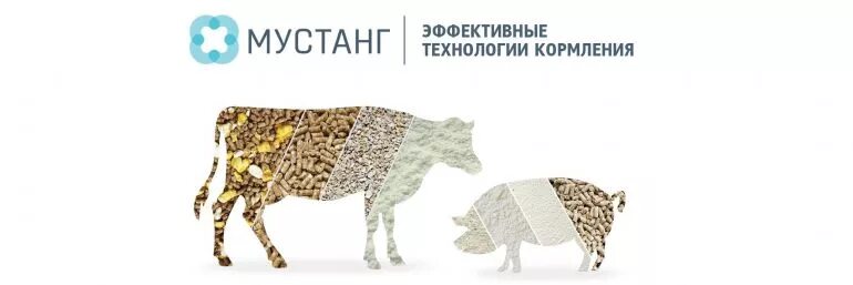 Мустанг технология. Мустанг технология. Мустанг технологии кормления г. Мустанг технологии кормления. Мустанг технологии кормления на выставке.