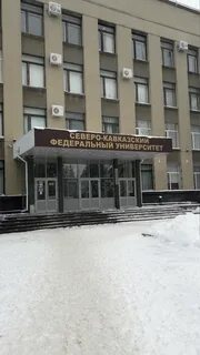 Институт образования адрес