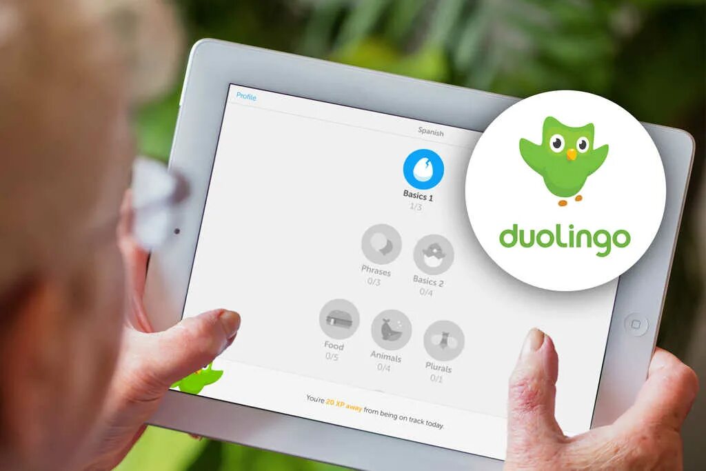 Www duolingo. Duolingo приложение. Значок Дуолинго. Иконка приложения Дуолинго. Duolingo картинки.