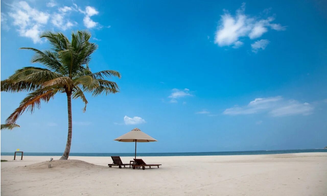 Шри ланка колорит. Шри ланка пляжи. Шри ланка путевки 2024. Шри ланка путевки 2024. Отель araliya beach resort spa шри ланка.