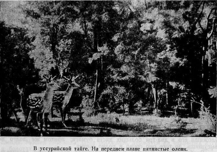 Президентские состязания. Город никольск уссурийский. М пржевальского. Первые уссурийские игры. Настольный теннис чемпионат.