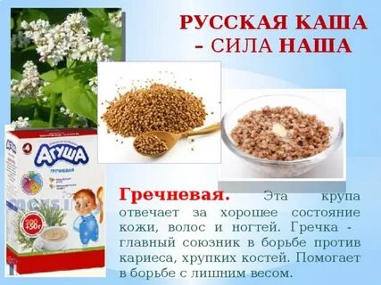 Какую гречку можно давать ребенку