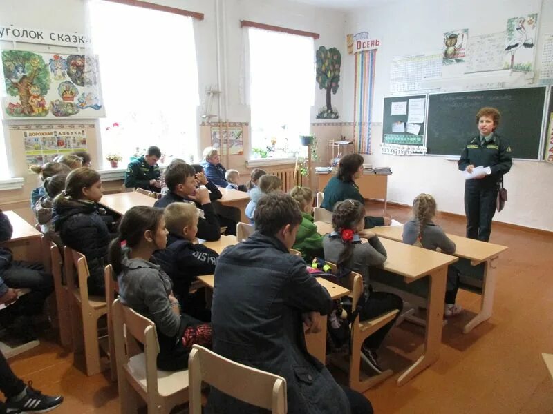 Гку бо. Место отдыха схема в лесу центр лесхоз. Гку брянской области. Гку бо. Суземское лесничество.