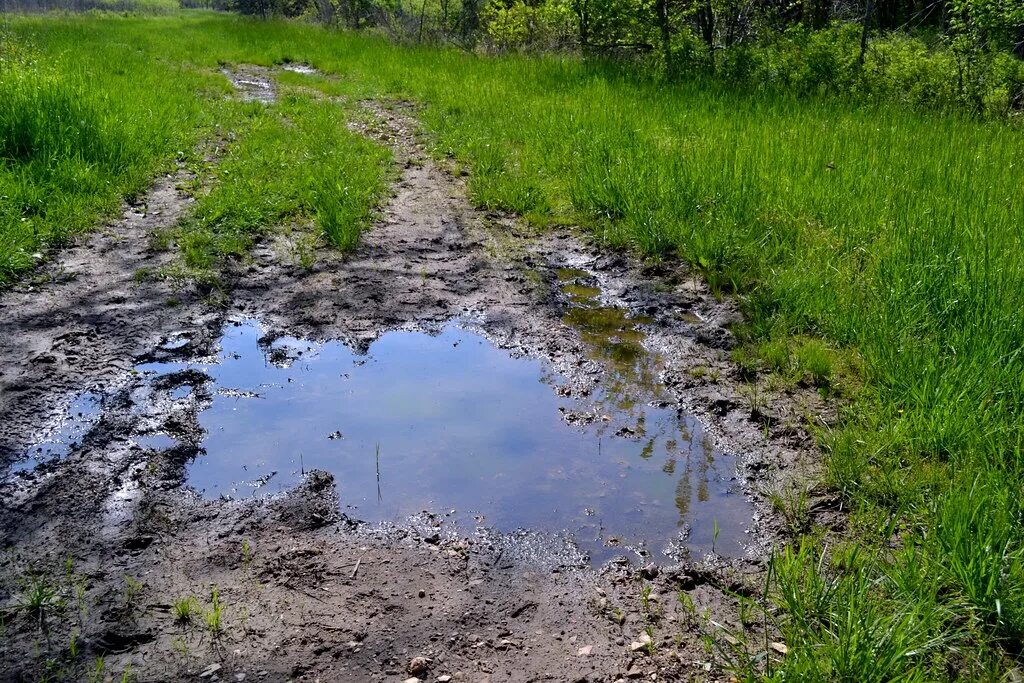 Грязная лужа. Лужа болото. Лужа на болоте. Грязная дорога. Мокрый яма