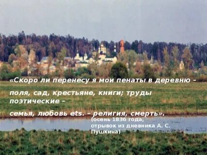 Отрывок из дневника