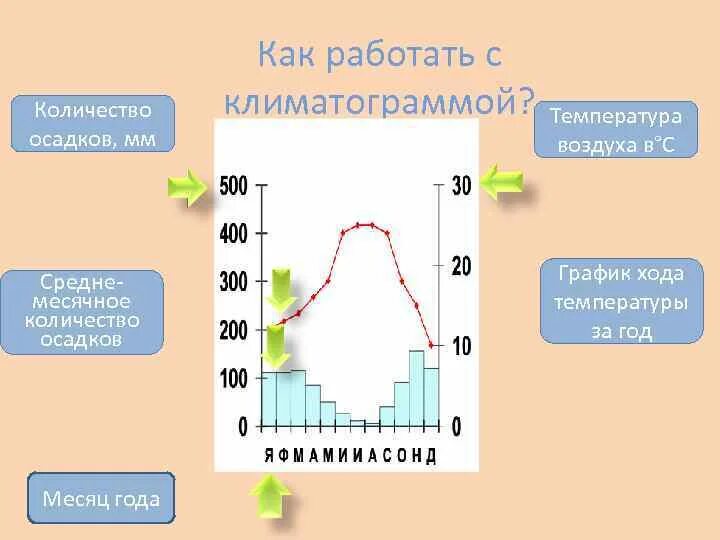 Количество осадков на климатограмме. Как определить Кол во осадков по климатограмме. Среднегодовое количество осадков на климатограмме. Как определить наибольшее количество осадков по климатограмме.